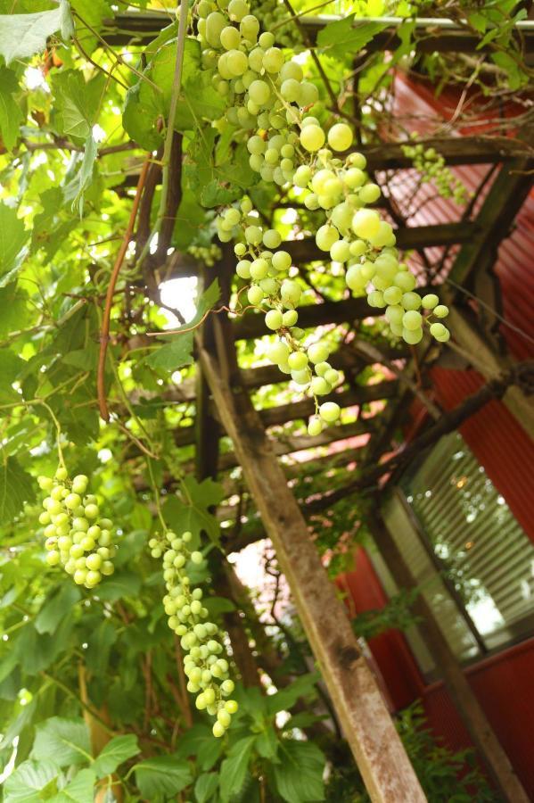 Grapehouse Koenji Hostel Tokyo Ngoại thất bức ảnh